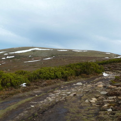 12-12-29 Gorbeia desde Mrua